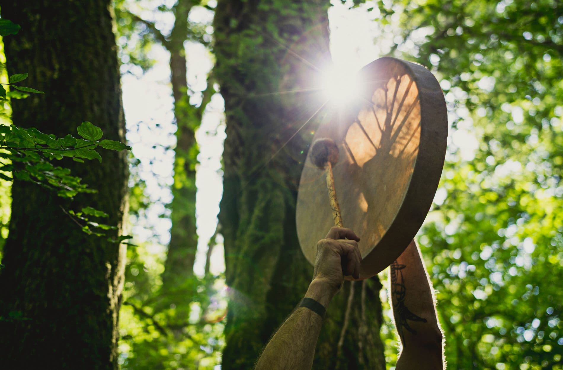 Shamanic Practices